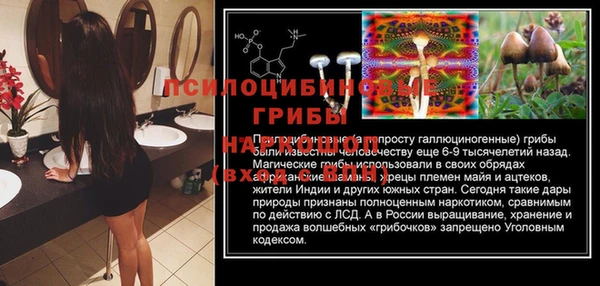 a pvp Арсеньев
