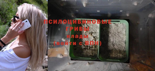 a pvp Арсеньев